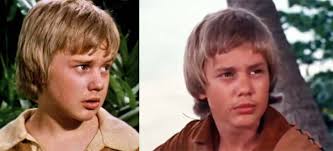 La série Les Robinson suisses par Nath-Didile