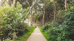 Ostseekustenradweg Bei Nienhagen In 2020 Ostsee Vorpommern Radtour