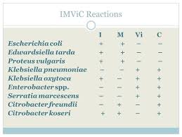 Microbiology Ii Exam 1 Weeks 1 3 Flashcards Quizlet