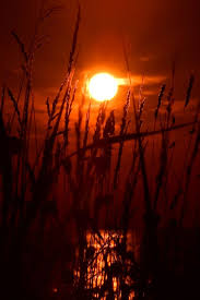 Sunrise Telephoto 2 Sunrise Sunset Skys Beautiful Sunset