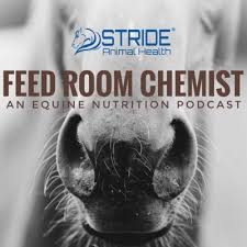 Vitamin e supplement for horses with epm. 21 Epm Equine Protozoal Myeloencephalitis By Feed Room Chemist An Equine Nutrition Podcast A Podcast On Anchor