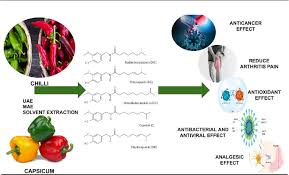 Image result for Capsaicin