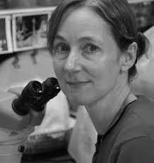 IGERT Award for Ocean Change