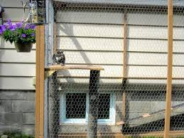 Here we have listed some of the best products that you can purchase… How To Build An Outdoor Cat Enclosure Or Catio