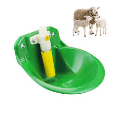 A quelle hauteur fixer l'abreuvoir pour une ch�vre naine / mi naine ? Abreuvoir Automatique Chevre Mouton Bol Mangeoire Pour Bovins Plastique Equipement D Animaux A Boire Distributeur D Eau De Porc Boisson Aliexpress