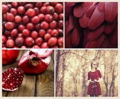 Delicious recipes have been shared for the last few weeks in the weekly linkup party held here on the blog every monday evening. Berry Red Color Inspirations Colorfully Behr