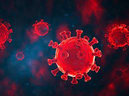 South african scientists have detected a new coronavirus variant with multiple mutations but are yet to establish whether it is more . Coronavirus New South African Covid Variant May Evade Antibodies Increase Chances Of Reinfection As Per Scientists Times Of India