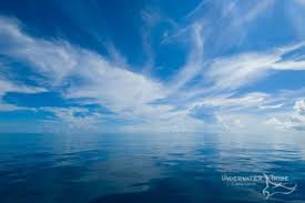 World oceans day, celebrated across the world on. World Oceans Day 8 June 2020 Underwater Tribe
