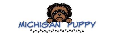 Find local morkie puppies for sale and dogs for adoption near you. Purebreed Designer Puppies For Sale In Michigan Michigan Puppy