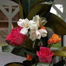 Maybe you would like to learn more about one of these? Schmidt S Flowers Schmidtsflower Profile Pinterest