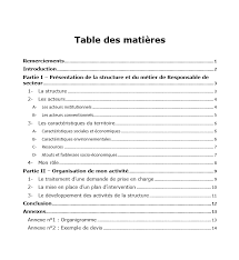 Cette fonction représente le premier niveau d'encadrement dans les services d'aide et d'accompagnement à domicile (saad). Exemple De Rapport De Stage Responsable De Secteur D Aide A Domicile