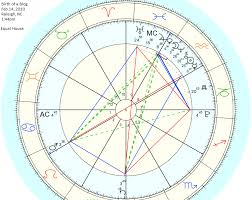 Our Sky Astrology Houses