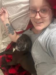 Vestaburg area cat with white paws for owner