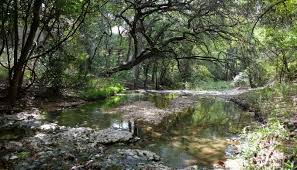 The Legend of La Llorona: 'The Weeping Woman' Who Haunts Texas