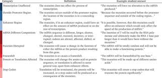 Protein synthesis online worksheet for 9, 10, 11, 12. Characterizing Students Ideas About The Effects Of A Mutation In A Noncoding Region Of Dna Cbe Life Sciences Education