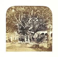 India 1850-1930 | PICRYL - Public Domain Media Search Engine collections