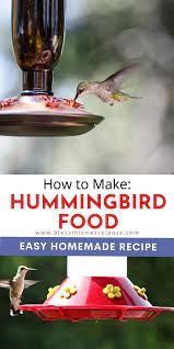 Two Ingredients To The Best Homemade Hummingbird Food Recipe Homemade Hummingbird Food Hummingbird Food Make Hummingbird Food