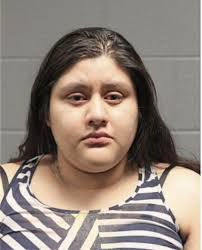 ᐅ Illinois Criminal Records 2009-2026