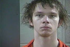 Lily man gets 11 years for sexual abuse charges involving children