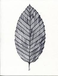 Pin On Botanical Art Leaves