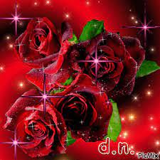 Animazione gif di bella natura mattutina. Mazzo Di Rose Picmix