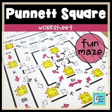 The punnett square is a diagram that is used to predict an outcome of a particular cross or breeding 3. Punnett Square Worksheet Distance Learning For Packets Tpt