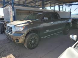 Image result for Verde Tundra 2008 159