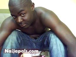 Gulder ultimate search : The lost chronicles