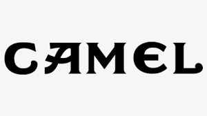 Visit our site to use our camel coupon generator and get yourself some free camel cigarettes! Camel Cigarettes Hd Png Download Kindpng