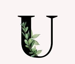 Ini adalah jenis keluarga sans serif dengan enam bobot ditambah huruf miring yang cocok dan dirancang oleh hannes von döhren pada tahun 2009/10. Walpaper Keren Huruf U Sama E Facebook
