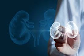 Image result for Transplantation