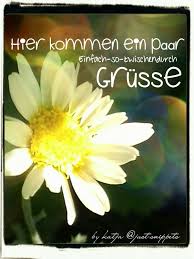 Pin Von Pelly Auf Gute Nacht Guten Morgen Grusse Liebe Grusse Wochenende Lustig