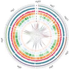 Pathogens Free Full Text Genomic Features Of Cladobotryum Dendroides Which Causes Cobweb Disease In Edible Mushrooms And Identification Of Genes Related To Pathogenicity And Mycoparasitism Html