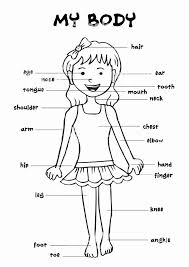 You can use our amazing online tool to color and edit the following body parts coloring pages. Evident Parametrii Sens Nou Human Body Coloring Pages For Preschoolers Wonderslanka Com