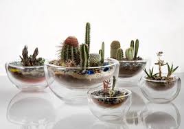 We did not find results for: 22 Table Decorations And Centerpiece Ideas With Succulents