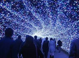 Amazing Light Installation At A Japanese Botanical Garden Winter Light Festival Light Installation Winter Light