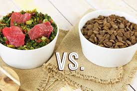 It is also a great way of involving your family members in the management of your canine. Help For Your Dog With Diabetes Dr Harvey S