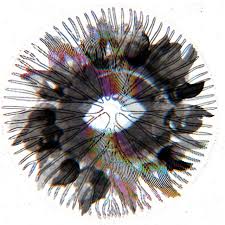 A coroner's inquest in liverpool today ruled he was unlawfully killed as a result of the disaster , making him the 97th victim. Disappear Andrew Devine Remix Song By Mamilah Andrew Devine Spotify