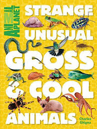 Strange Unusual Gross And Cool Animals By Animal Planet And Charles Ghigna Nonfiction For Kids Ages 8 12 Who Like To Re Planet Books Animal Book Animal Planet