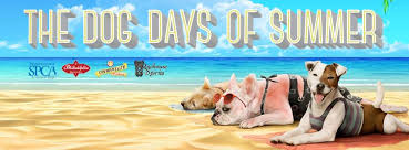 Dog days of summer images. Dog Days Of Summer At Johnny Brenda S