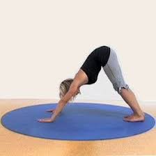 Round Yoga Mat Yogaaccessories Com Round Yoga Mat Advanced Yoga Yoga Accessories