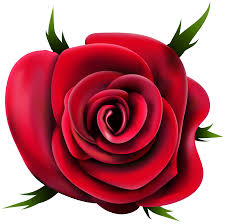 From cliparts to people over logos and effects with more than 30000 transparent free high resolution png photos on line. Transparent Rose Png Clip Art Gallery Yopriceville High Quality Images And Transparent Png Free Clipart