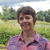 GP crisis: how did things go so wrong, and what needs to change?