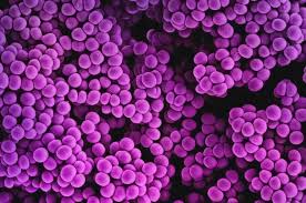 Diabetes can drive the evolution of antibiotic resistance, study suggests