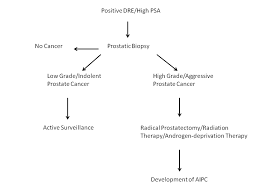 Nearly 2 million american adults each year are diagnosed with cancer. Prostate Cancer Diagnosis And Treatment Download Scientific Diagram