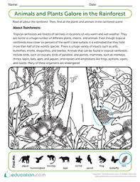 rainforest animals and plants galore worksheet education com