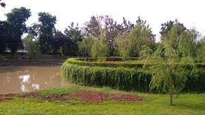 Biaya masuk taman mini adalah sendiri adalah rp 10.000 dan anda akan diminta membayar harga tiket masuk di pintu gerbang. Taman Cattleya Jakarta 2021 All You Need To Know Before You Go Tours Tickets With Photos Tripadvisor