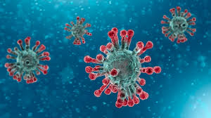 Vyrologix™ leronlimab (pro 140) is a drug candidate that is a ccr5 antagonist with the potential for multiple therapeutic indications. Cytodyn S Experimental Cancer And Hiv Drug Shows Promise In Treating Covid 19 Biospace