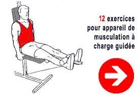 Musculation Pour Le Quadriceps Au Banc Multi Fonction Musculation Bras Musculation Banc De Musculation