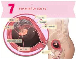 This is a default index page for a new domain. Sarcina Pe Saptamani Saptamana 7 De Sarcina Planse De Colorat